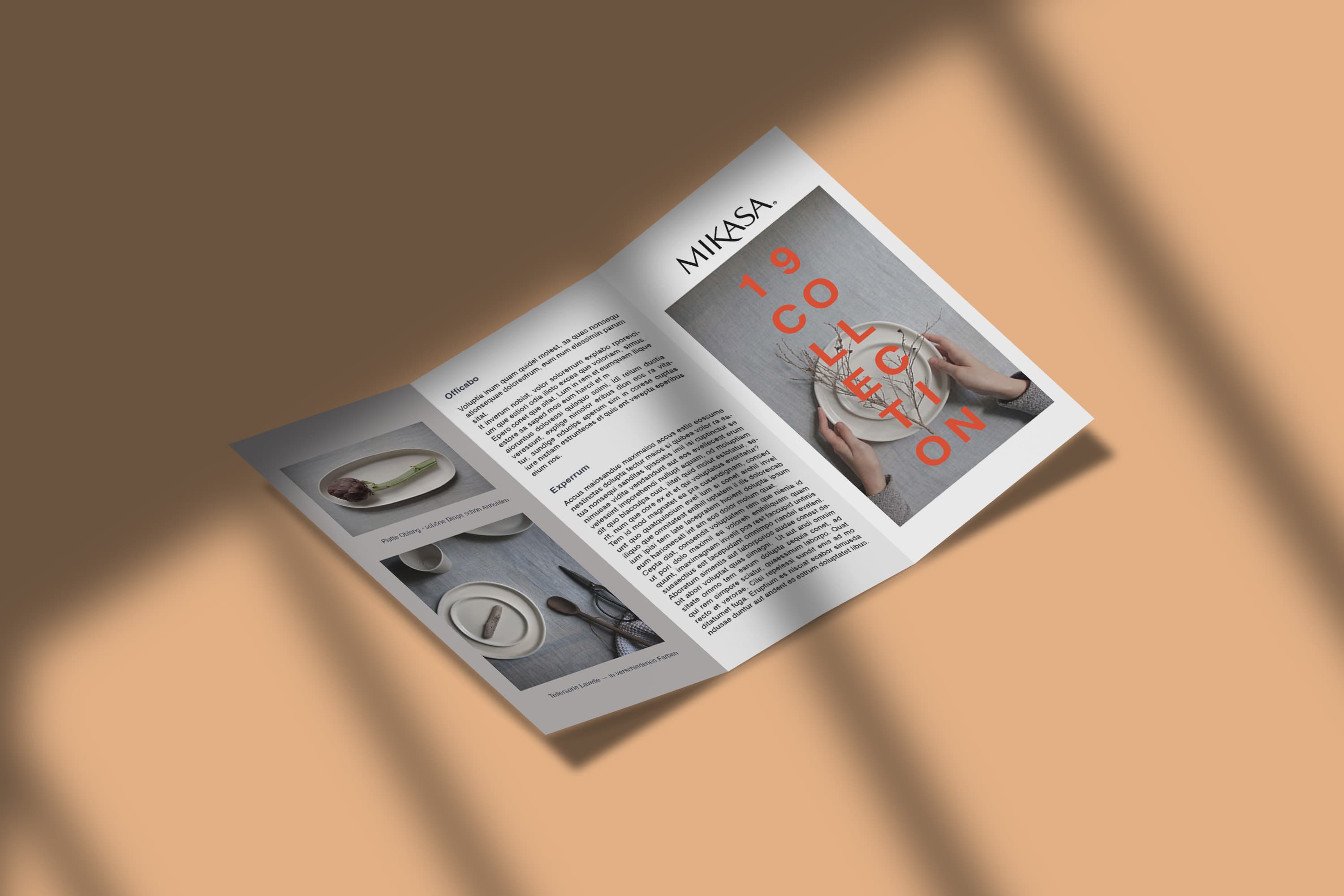 Project mockup 2