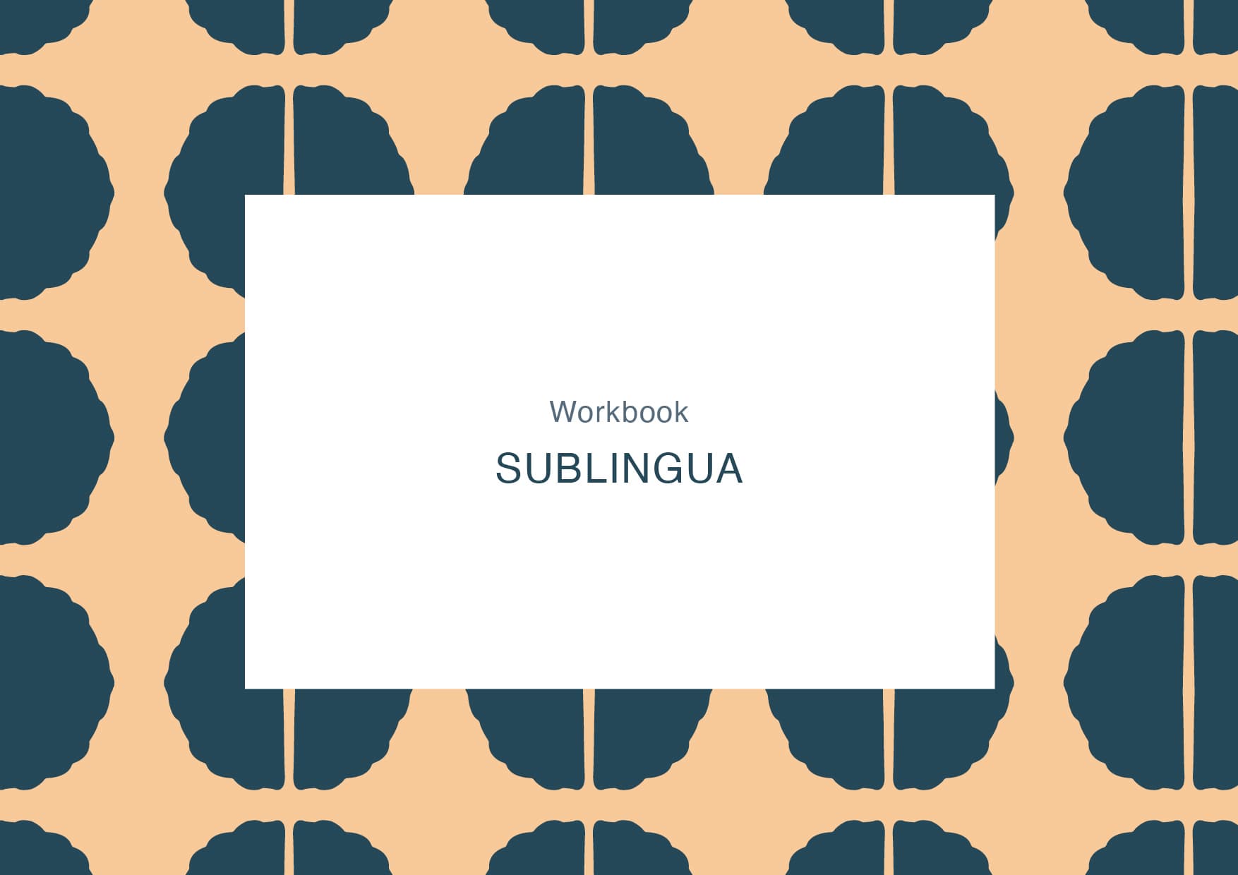 CORPORATE DESIGN FOR SUBLINGUA 2