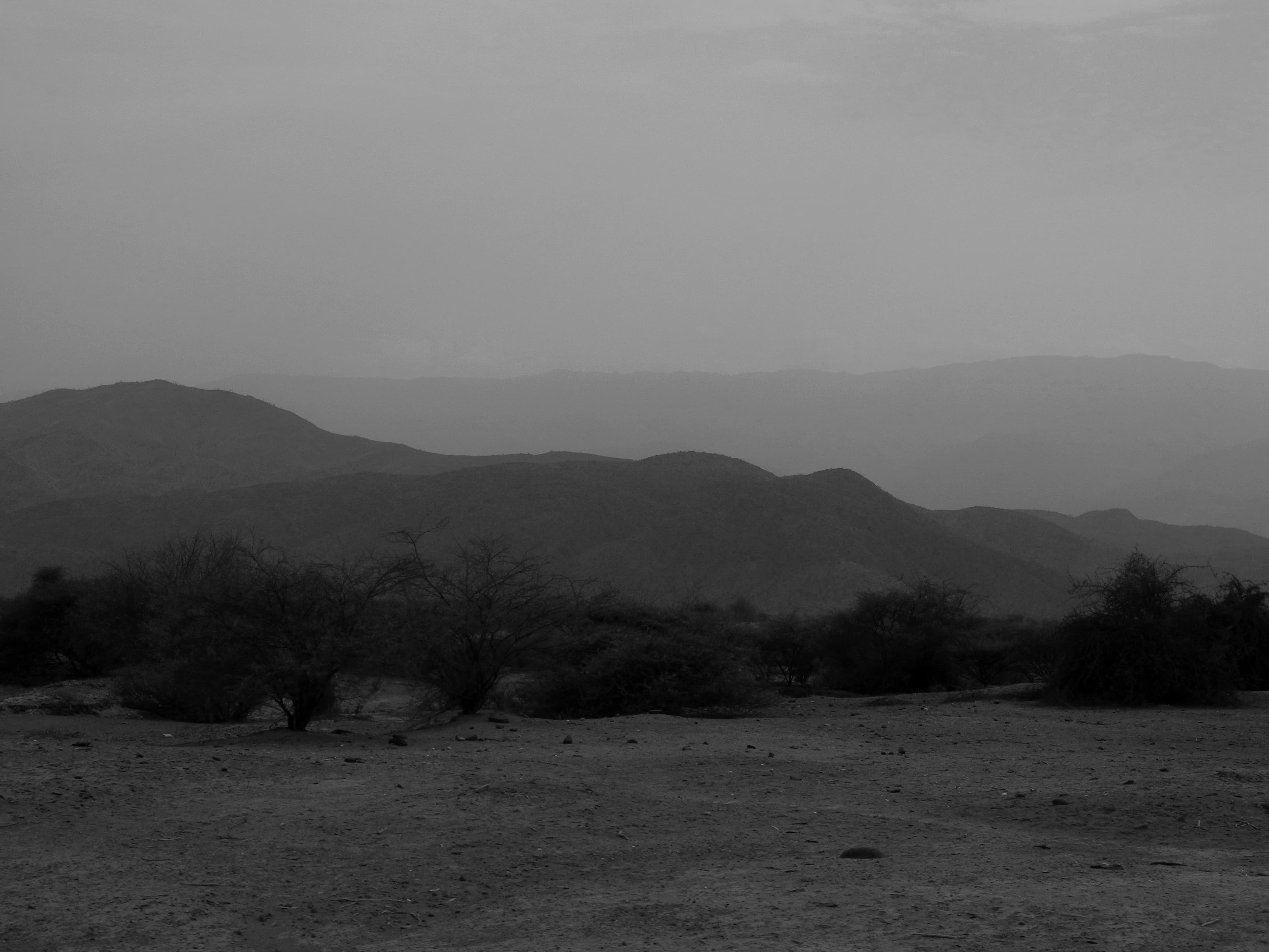 Photography 19