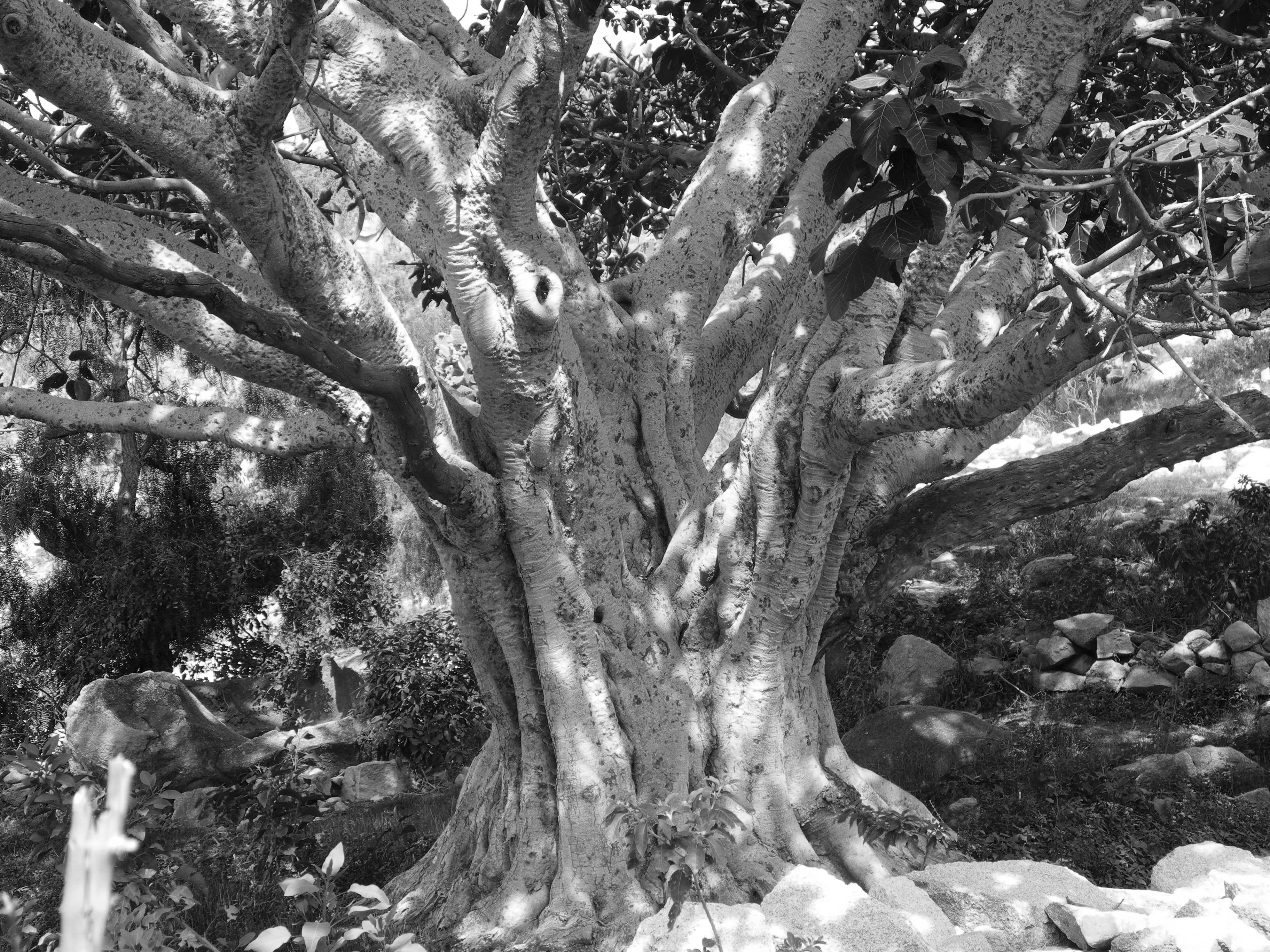 Photography 16