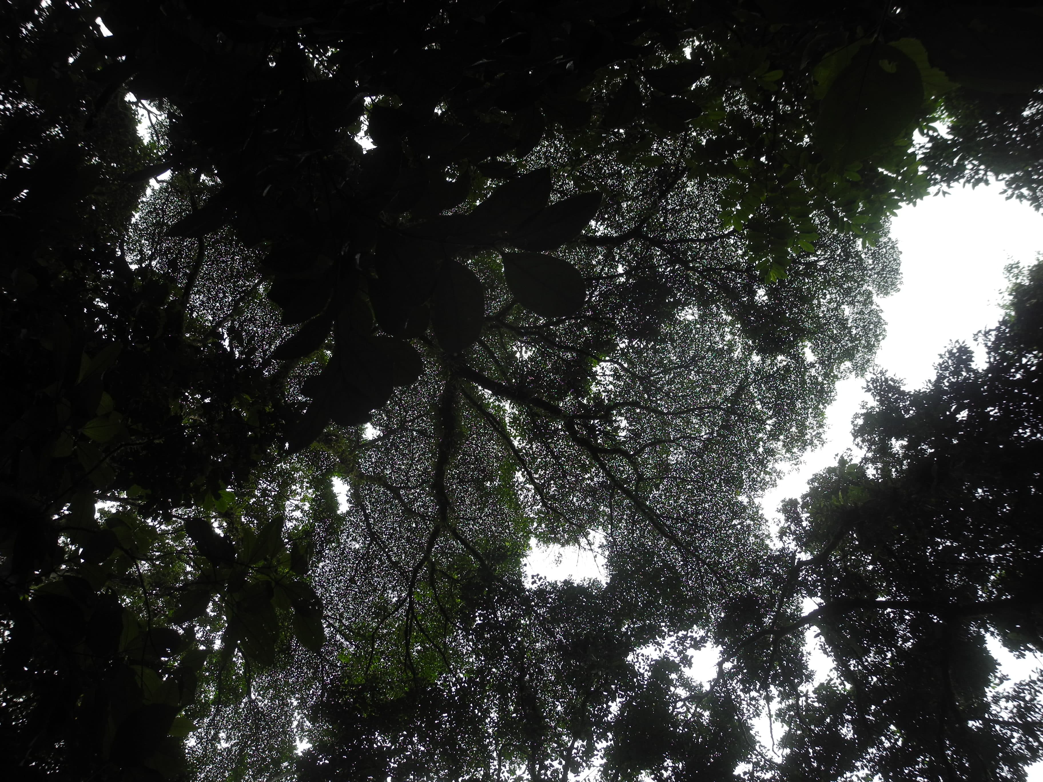 Photography 13