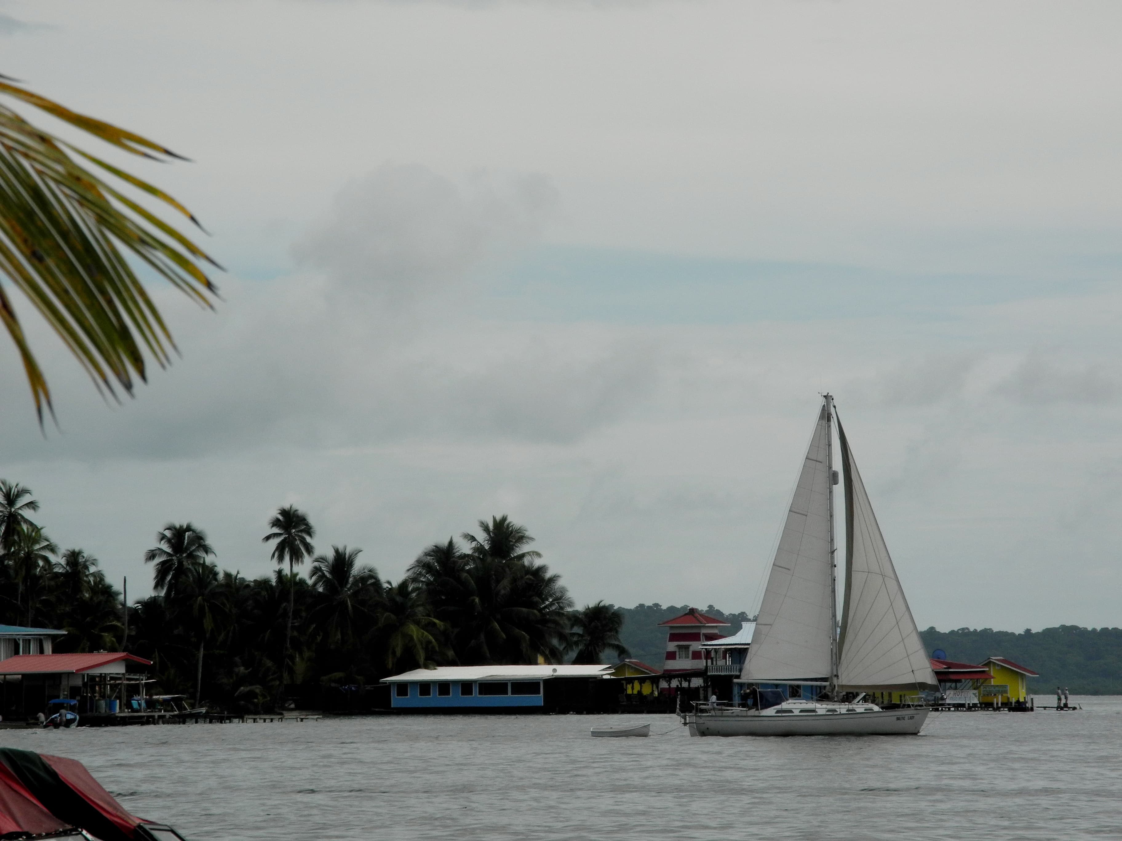 Photography 5